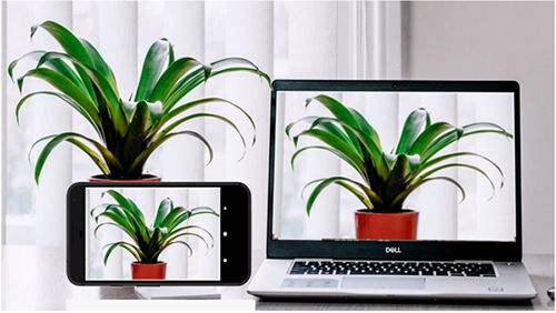 Iriun Webcam[图1]