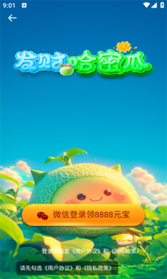 发财哈密瓜[图2]