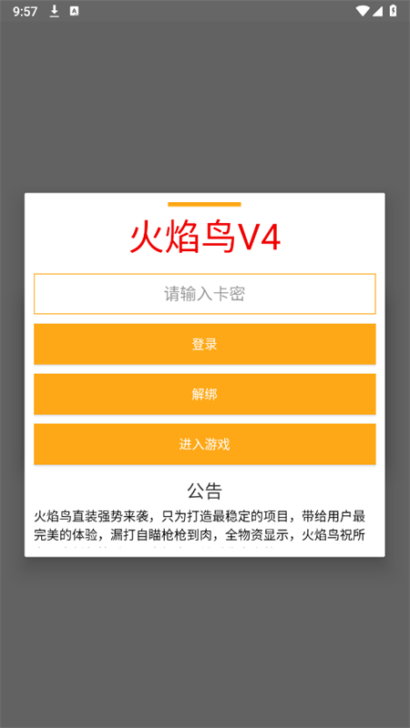 火焰鸟直装[图4]