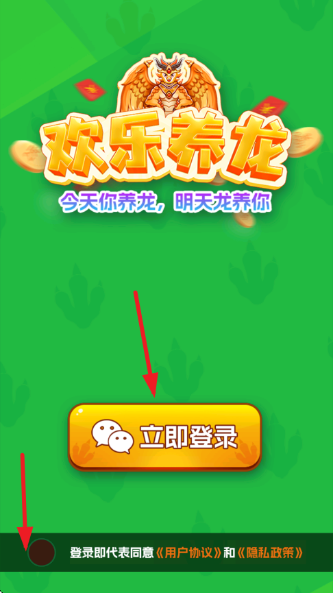 欢乐养龙[图1]