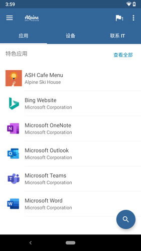 Company Portal[图4]