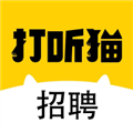 打听猫