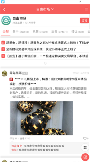 灵龟之家[图2]