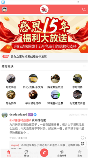 灵龟之家[图1]