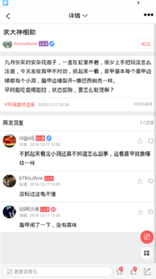 灵龟之家[图3]