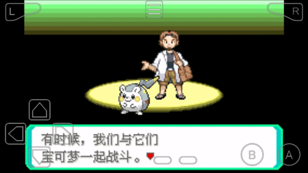 精灵宝可梦究极绿宝石[图4]