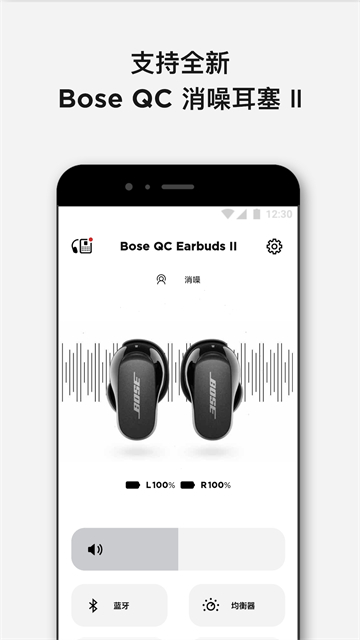 Bose Music[图1]