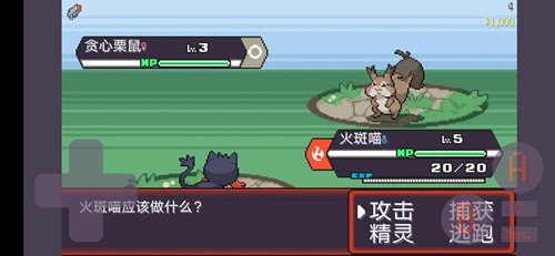 宝可梦肉鸽[图4]
