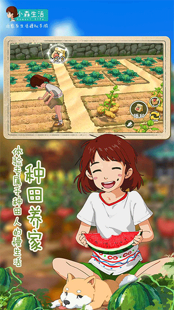 小森生活[图5]